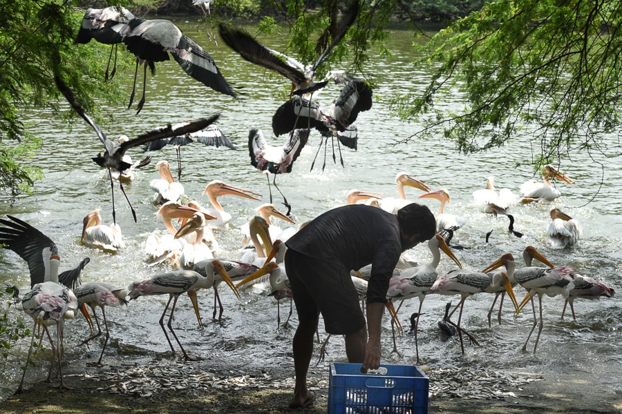 Photo of the day: Lunch time