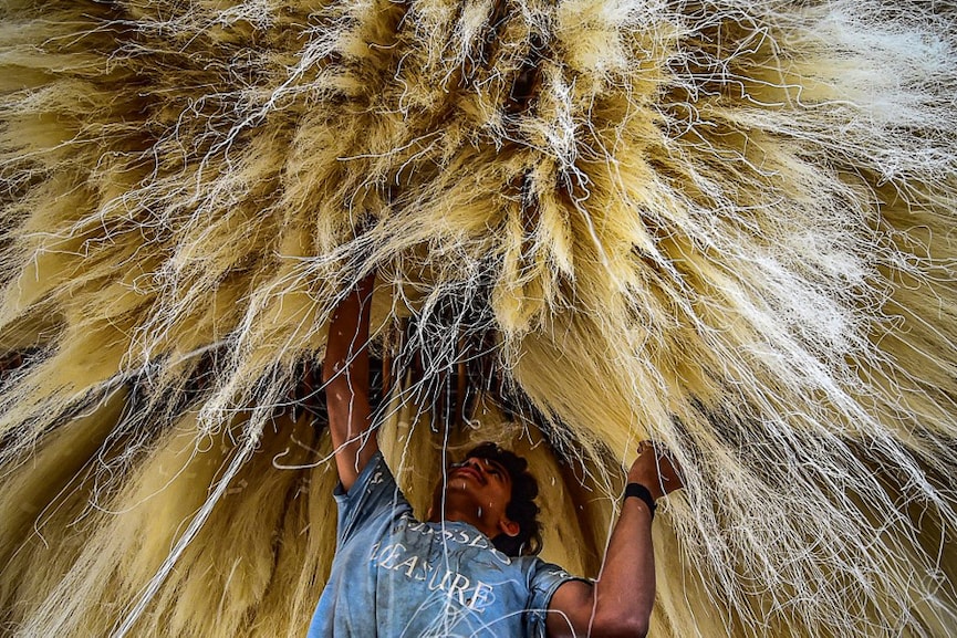 Photo Of The Day: Ready for feast