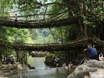 Photo of the Day: India's natural heritage