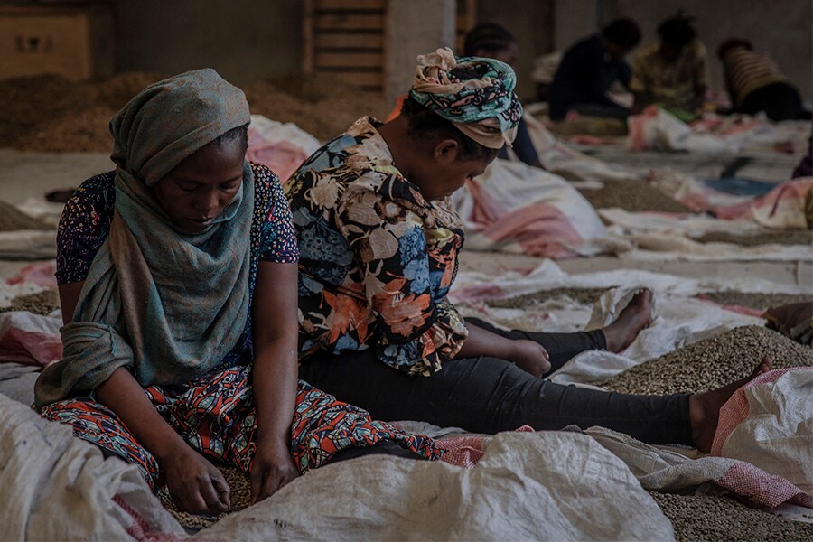 Women brew brighter future in DR Congo coffee initiative