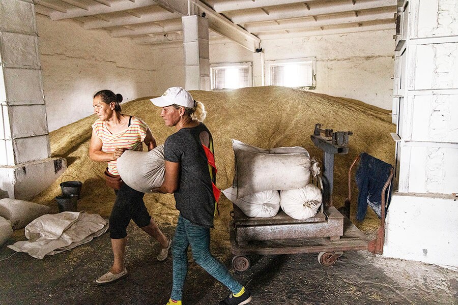 Ukrainians load bags of barley inside one of Serhiy Sokol’s warehouses near the town of Zelenodilsk, Ukraine on July 28, 2022. Sokol said he and his farmhands plucked dozens of aluminum tubes from Russian rockets from the black earth as they worked his fields. (David Guttenfelder/The New York Times)