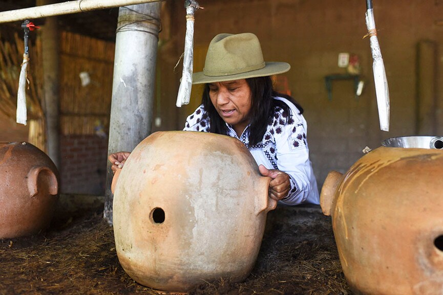 Craft distillers fear mezcal will become the victim of its own success