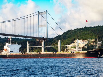 More Ukraine grain sets sail amid new strike at nuclear site