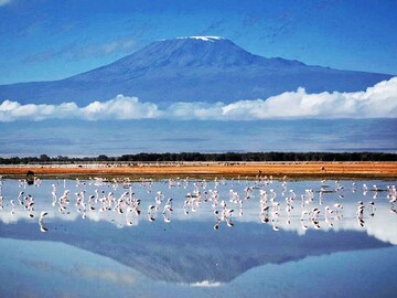 Tanzania installs internet on Mount Kilimanjaro for Insta-ascents