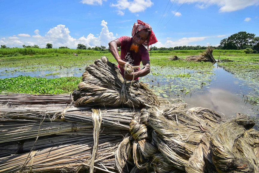 Photo of the day: Preparations