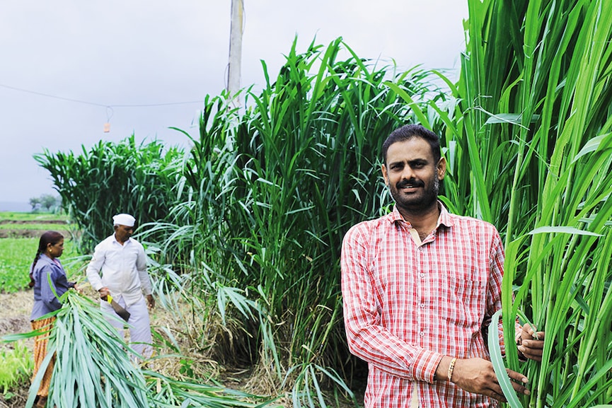 Ashish Pandurang Bhor earlier used an electric water pump, which was problematic due to uncertain electric supply and frequent malfunctioning. A solar pump has solved these issues on his farm, where his relatives Rukmini and Bhikaji Bhor (behind, in pic) help out. Image: Mexy Xavier