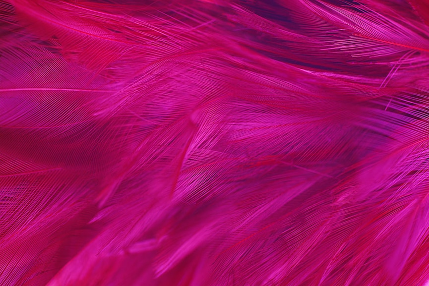 Viva Magenta: Pantone's colour for 2023 is an unconventional shade for an unconventional time