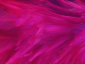 Viva Magenta: Pantone's colour for 2023 is an unconventional shade for an unconventional time