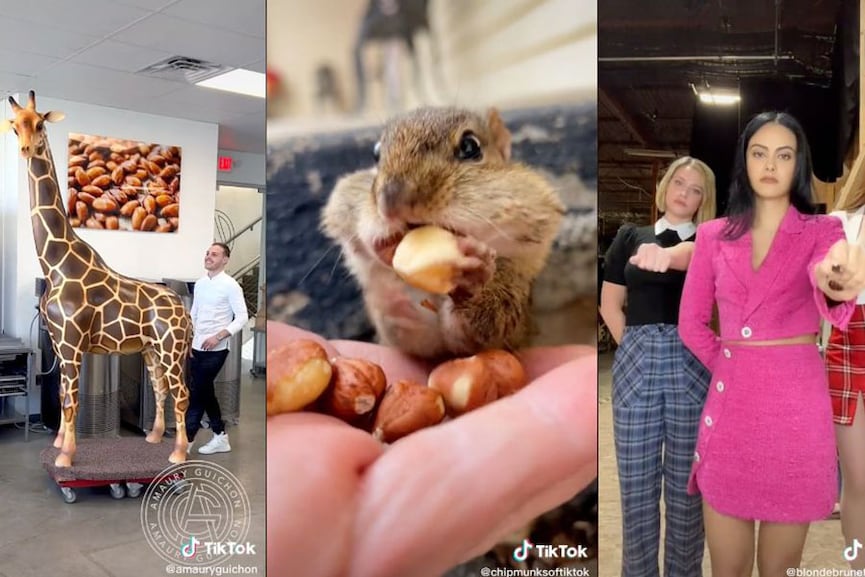 From chocolate giraffes to Rosalía's gum: TikTok runs down its most viral videos of 2022