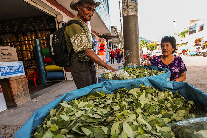 'Coca' pits indigenous Colombians against soft drink giant