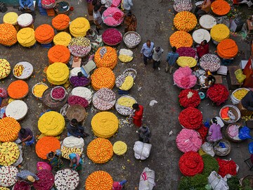 Photo Of The Day: The Yellow Season