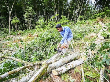 Sri Lankans return to cooking with firewood as economy burns