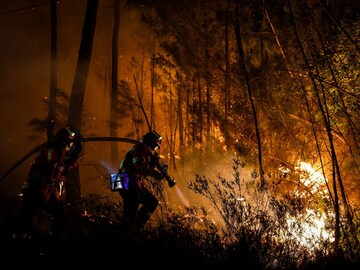 Western Europe wilts under second heatwave in weeks