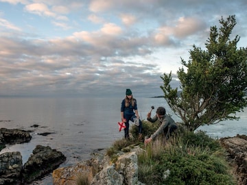 Unearthing the secret superpowers of fungus