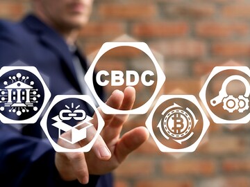 CBDC can kill crypto: RBI deputy governor tells IMF