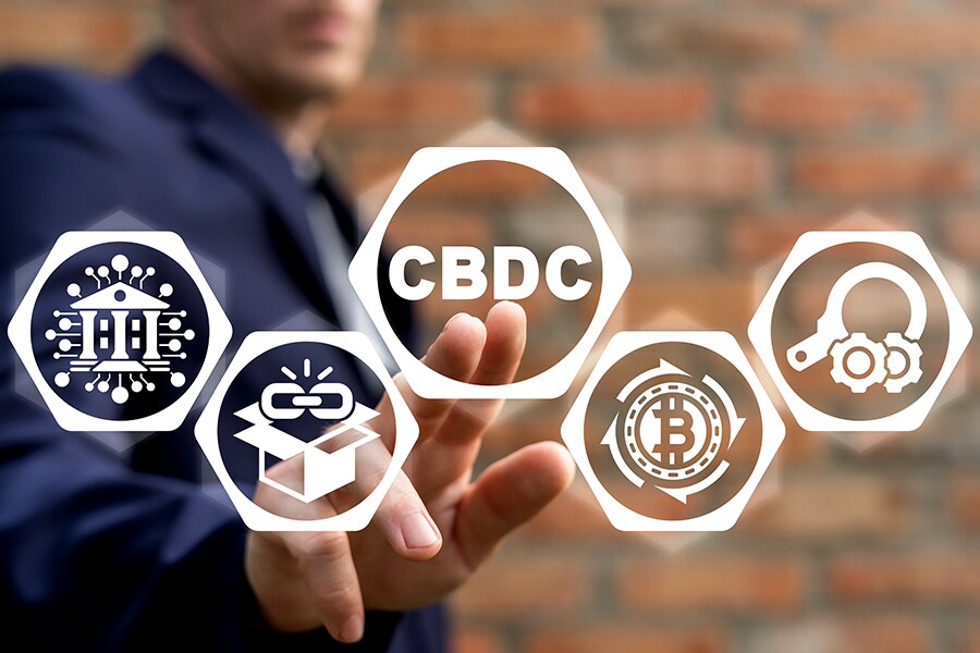 CBDC can kill crypto: RBI deputy governor tells IMF