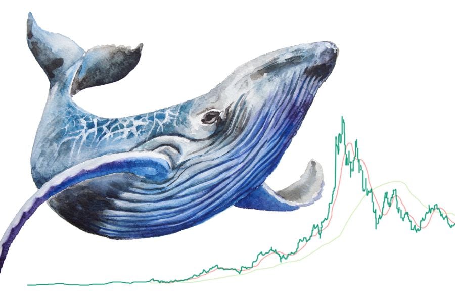 Solend invalidates Solana whale takeover plan with second governance vote