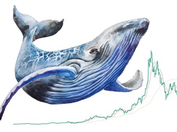 Solend invalidates Solana whale takeover plan with second governance vote