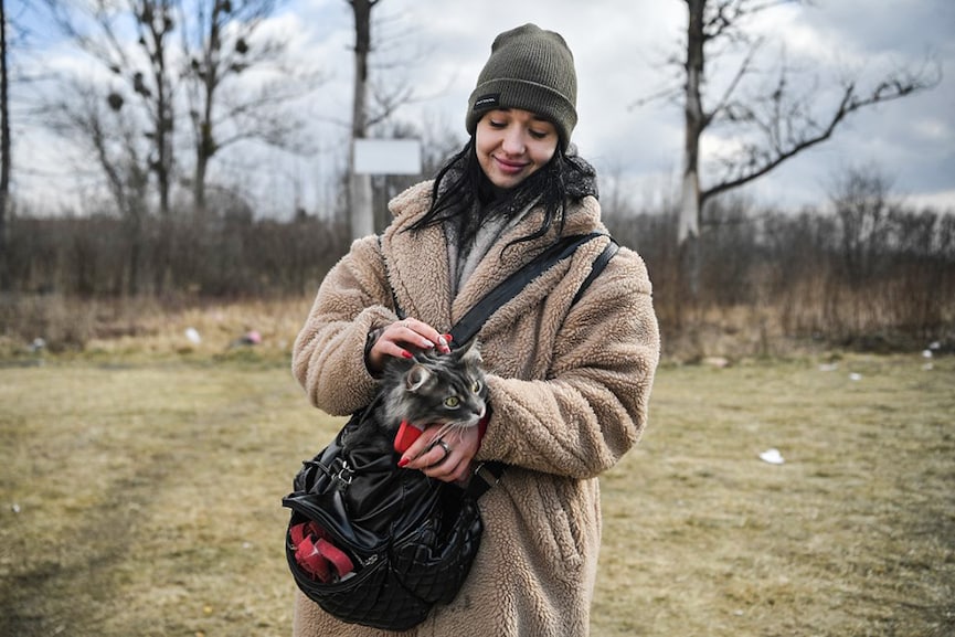 'We couldn't leave them': Ukraine refugees flee with pets in tow