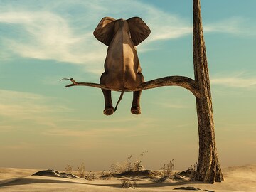 Simply speaking: Luck is talent which becomes a habit