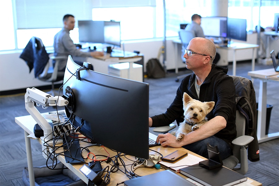 Samson, a Yorkshire Terrier sits on the lap of Trevor Watt, project controls manager at the office of Chandos Bird joint venture May 4, 2022 in Ottawa, Canada. (Credits: Dave Chan / AFP)