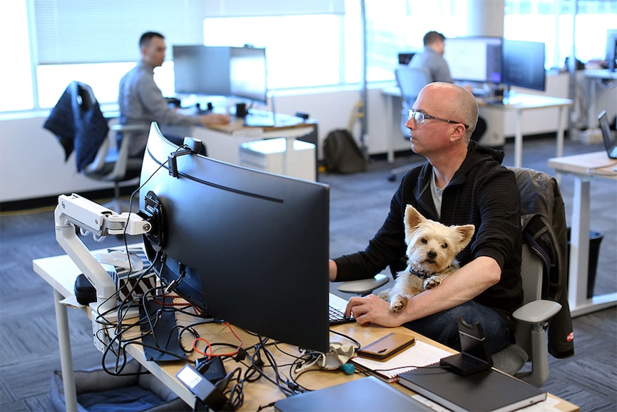 Samson, a Yorkshire Terrier sits on the lap of Trevor Watt, project controls manager at the office of Chandos Bird joint venture May 4, 2022 in Ottawa, Canada. (Credits: Dave Chan / AFP)