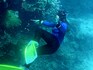 Summer heatwave bleaches 91% of Great Barrier Reef: report