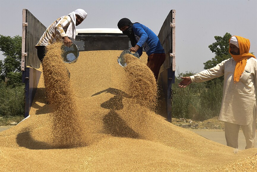 India's wheat exports ban adding to global food insecurity