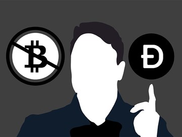 Elon Musk advocates Dogecoin as a potential currency