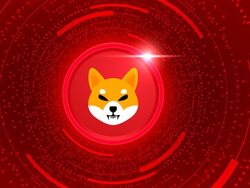 Record number of Shib burnt in a single retail transaction