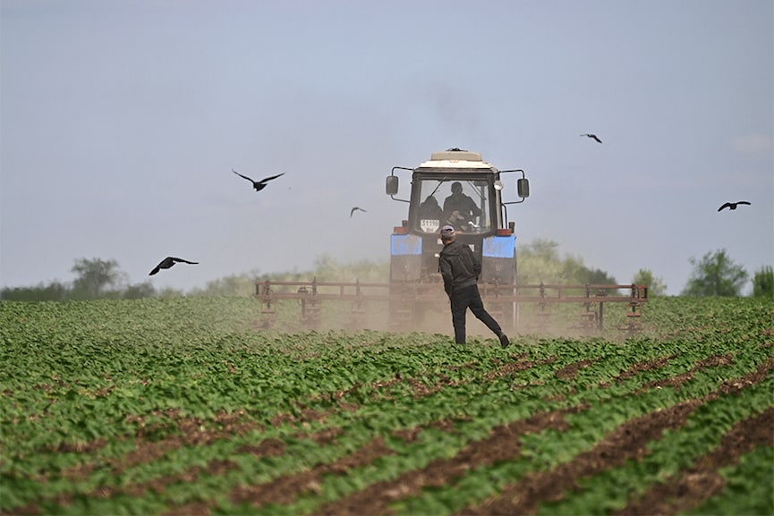 Russian blockade of Ukraine may unleash famine