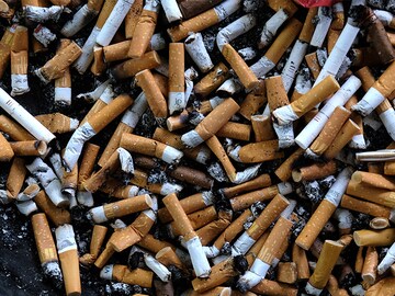 Big tobacco's environmental impact is 'devastating': WHO