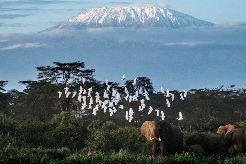 Yellowstone, Kilimanjaro glaciers among those set to vanish by 2050: UNESCO