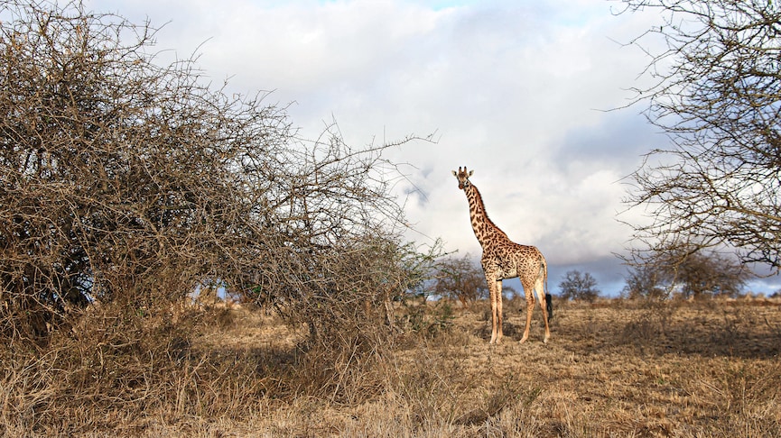 Photo of the day: In search of water