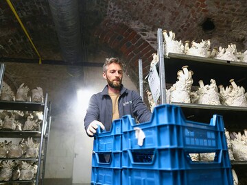 Spore the merrier: Mushrooms grown on Belgian beer are in great demand