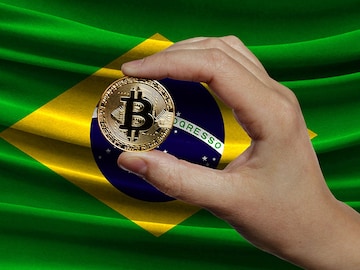 Over 12,000 Brazil companies declare crypto holdings setting a new record for declarations