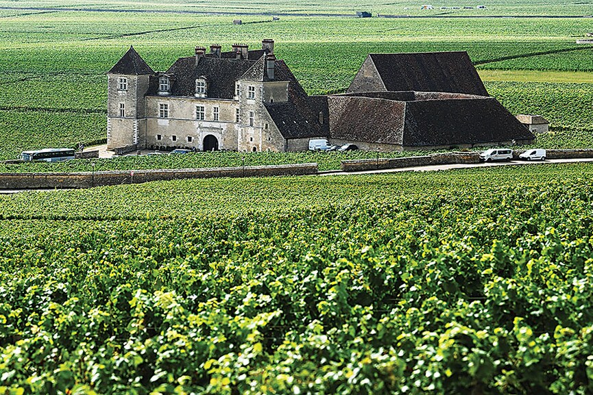 Amid insatiable demand, prices in the iconic fine wine region of Burgundy have been soaring to new heights