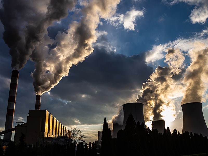 Decarbonisation may impact Indian household spending and jobs: McKinsey & Company report