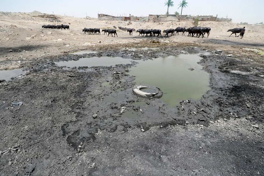 Twilight of the Tigris: Iraq's mighty river drying up