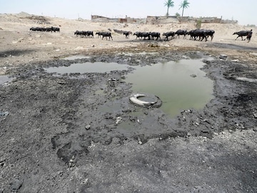 Twilight of the Tigris: Iraq's mighty river drying up