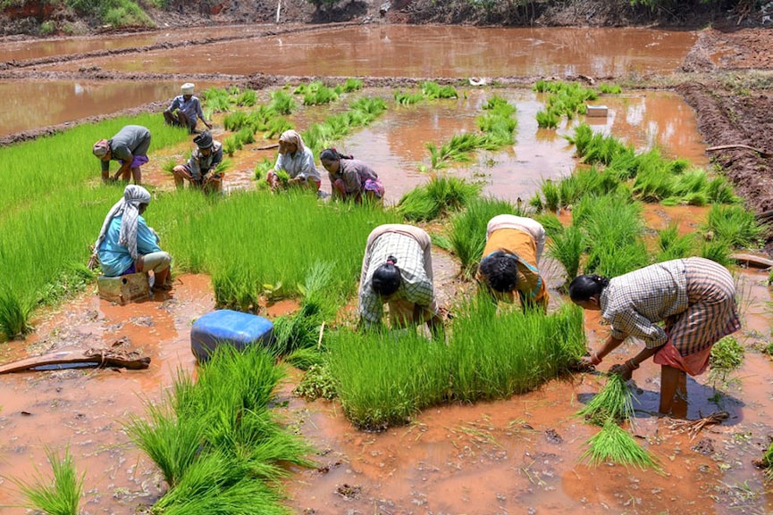 Rural inflation has been higher than urban inflation for over a quarter. Image: Manjunath Kiran / AFP