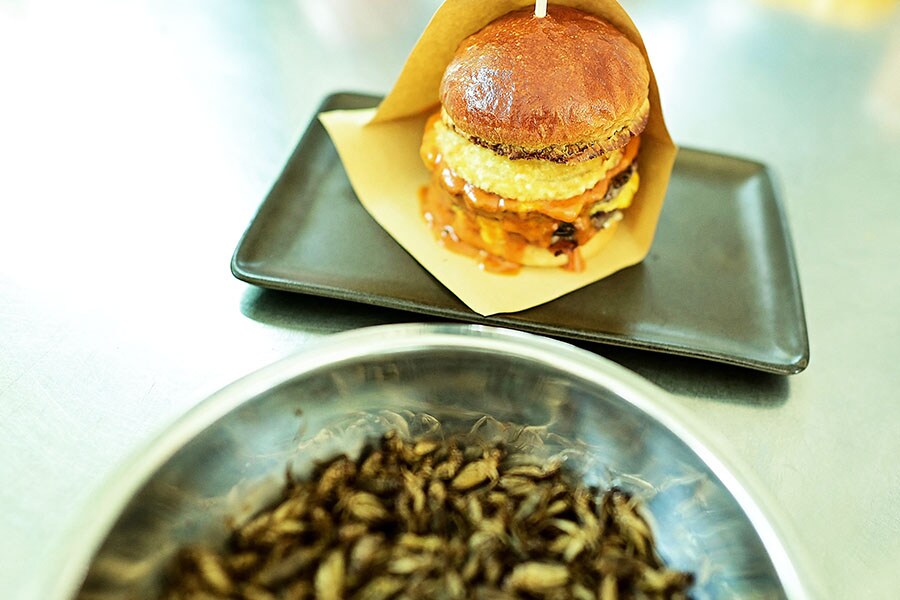 Thai pop-up wins fans with crunch-less cricket burgers