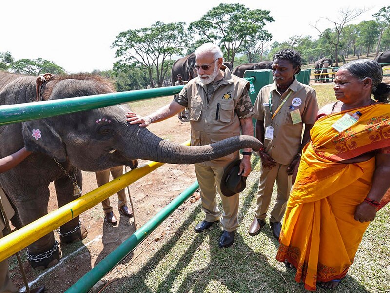 Photo of the day: With the elephant whisperers