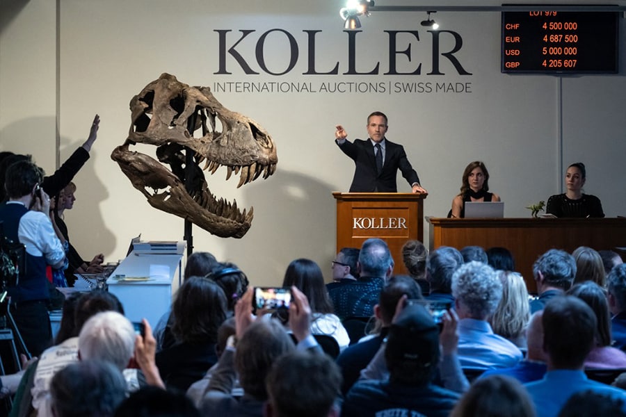 Trinity the T-Rex claws in more than $6 million at auction