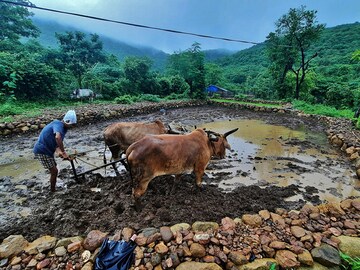 Rain Watch for July 27-August 2: Eastern India still deficient; pulses sowing low