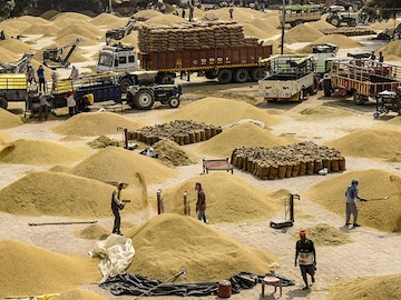 India's rice export ban leaves countries scrambling