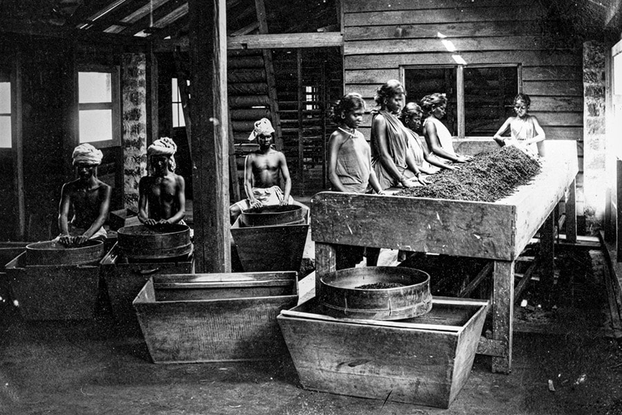 Workers at a tea factory in India. EIC traded in tea and spices, among other goods. Hulton Archive/Getty Images