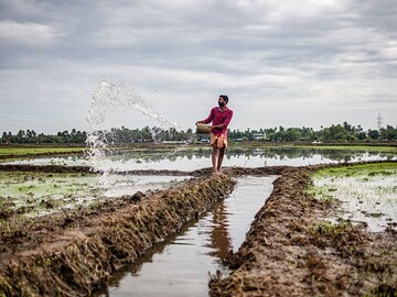 Rain watch for August 24-30: Monsoon remains weak; water storage low