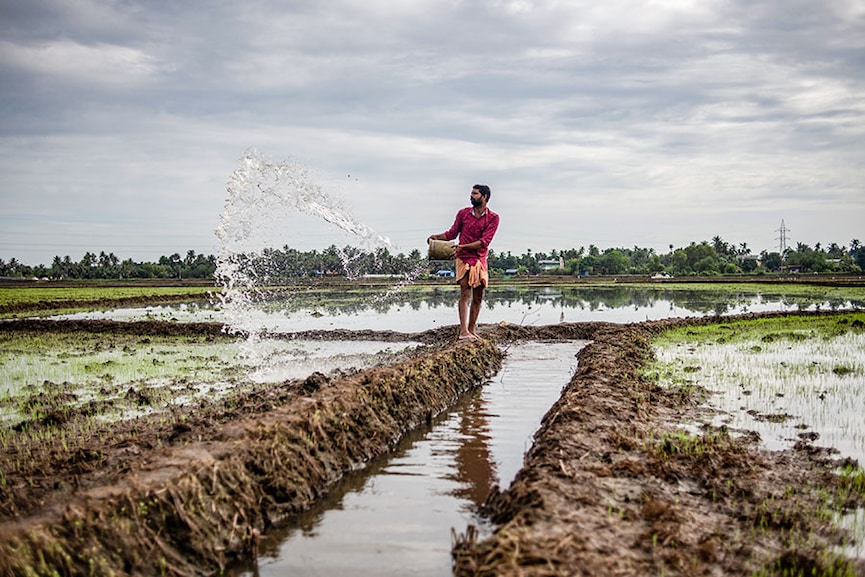 Rain watch for August 24-30: Monsoon remains weak; water storage low