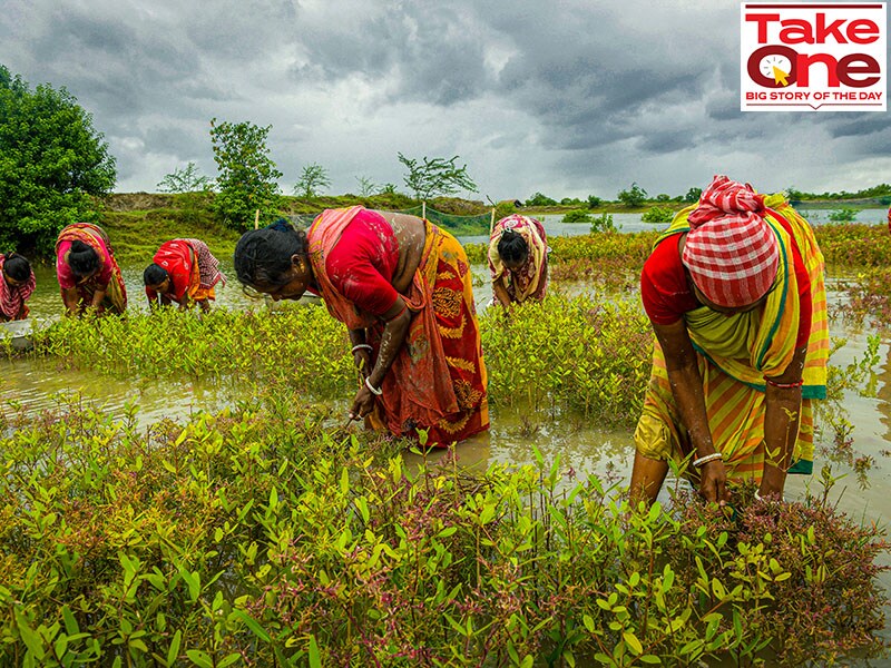 Why the rural economy isn't out of the woods yet